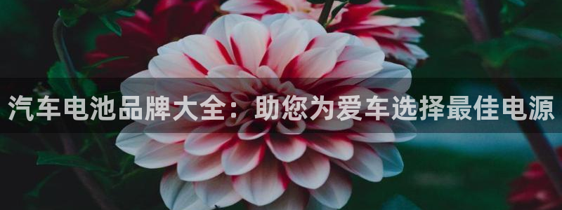优发国际官方网手机版入口