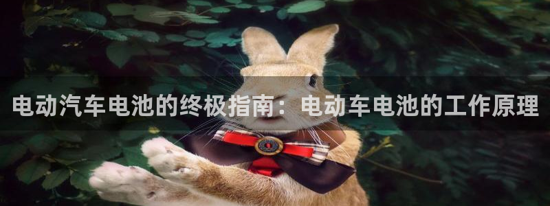 优发国际安卓版下载安装教程