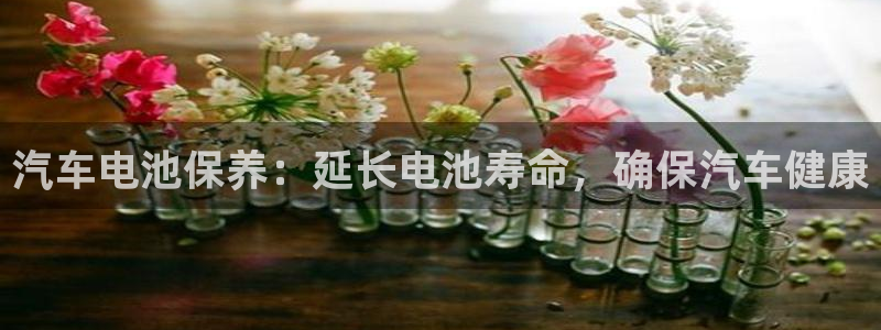 优发国际平台u8是什么软件