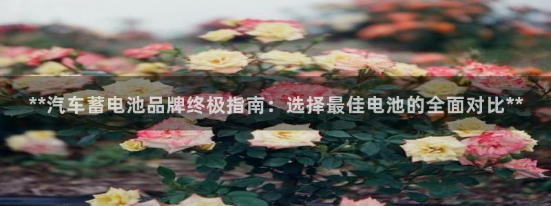 优发国际手机版客户端官网