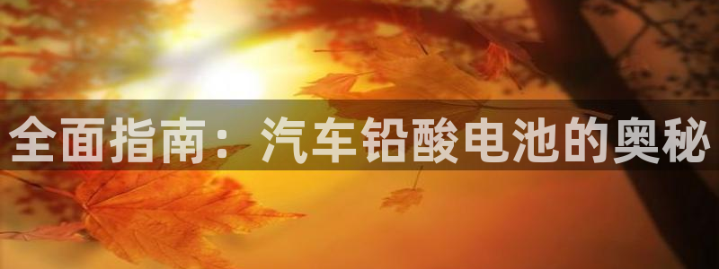 优发国际平台app下载官网