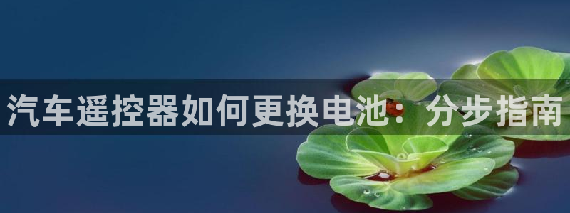 优发娱乐官网地址