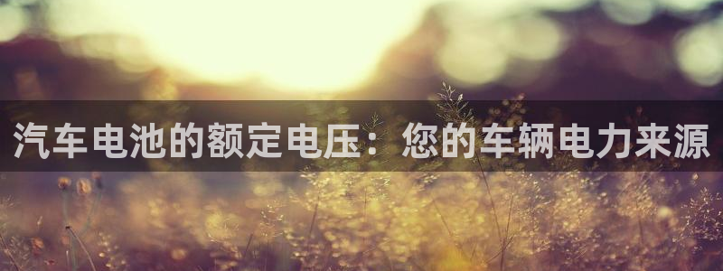 优发国际