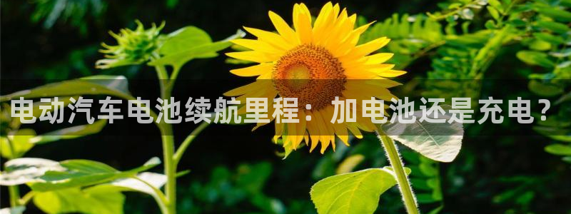 优发国际手机app下载安装苹果