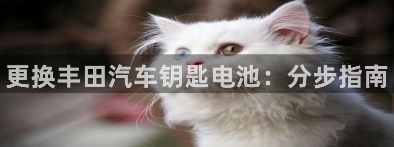 优发国际手机登录下载安装苹果