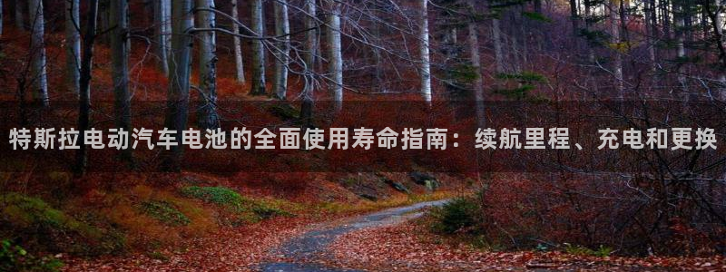 优发国际手机版下载安装