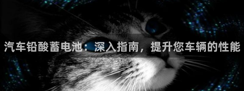 优发国际这个平台怎么样可靠吗
