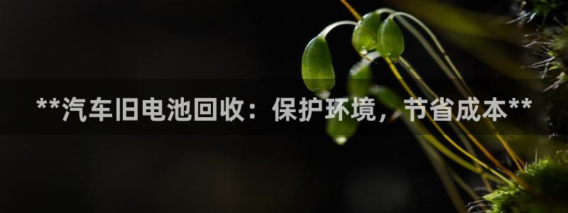 优发国际平台u8是什么软件