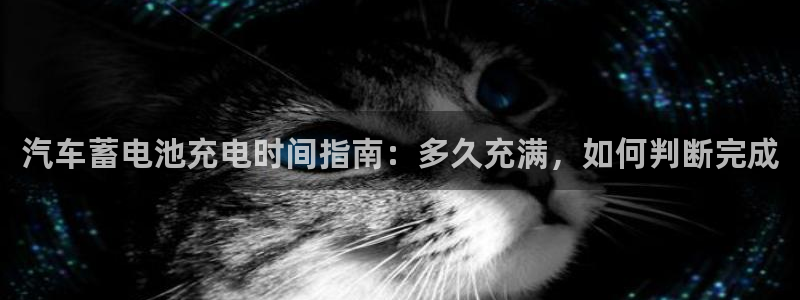 优发国际手机版网站
