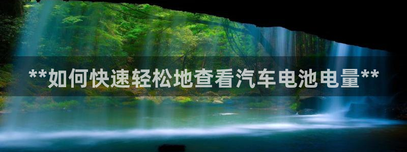 优发国际平台u8是什么软件