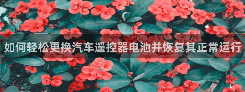 优发国际手机版网站下载
