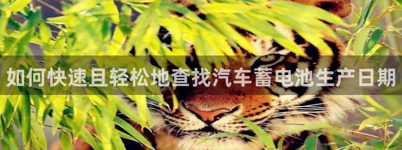 优发国际平台