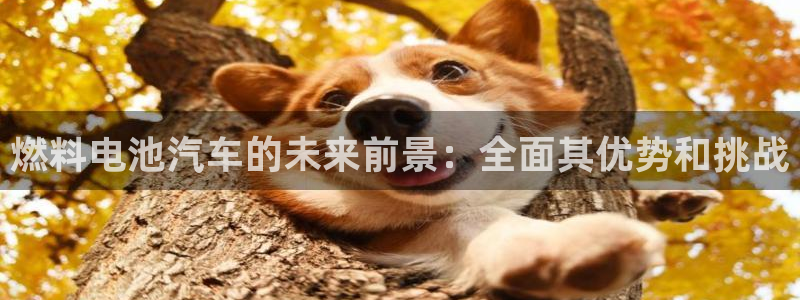 优发国际平台g80
