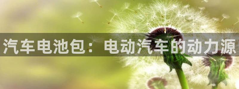 优发国际集团股份有限公司是国企吗
