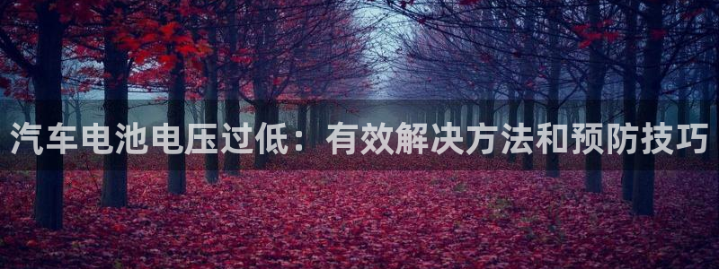优发国际app登录密码：汽车电池电压过低：有效解决方法和预防技巧