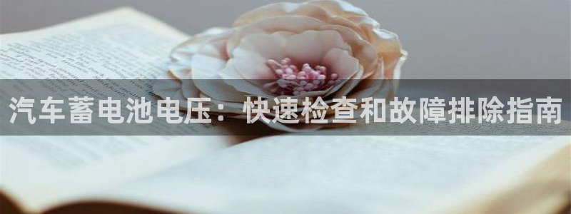 优发国际youfa