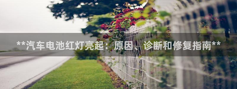 优发国际官网qy88