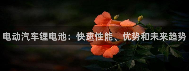 优发国际是大平台吗是真的吗：电动汽车锂电池：快速性能、优势和未来趋势