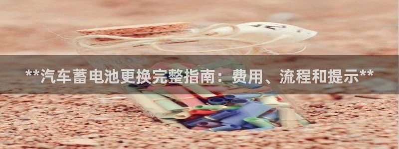 优发国际的网站是：**汽车蓄电池更换完整指南：费用、流程和提示**