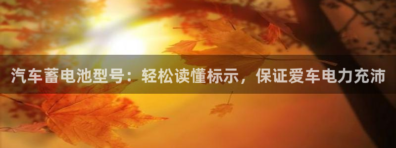 优发国际网站178