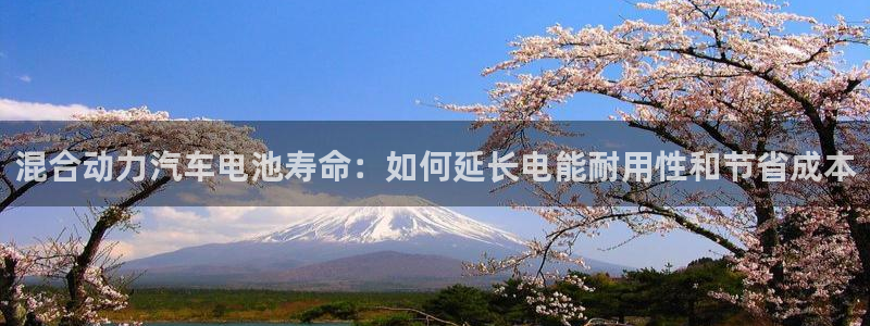 优发国际手机版下载安装：混合动力汽车电池寿命：如何延长电能耐用性和节省成本