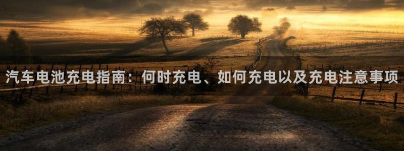 优发国际官网下载安装手机版：汽车电池充电指南：何时充电、如何充电以及充电注意事项