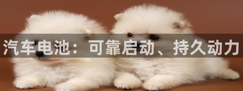 优发国际官网网站入口