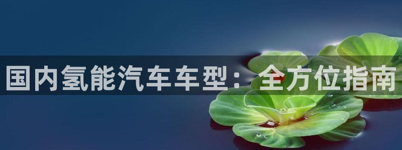 优发国际手机客户端下载不了：国内氢能汽车车型：全方位指南