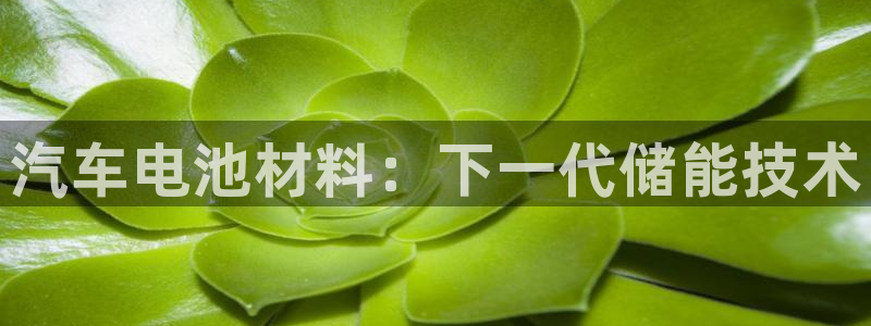 优发国际官方网手机版：汽车电池材料：下一代储能技术