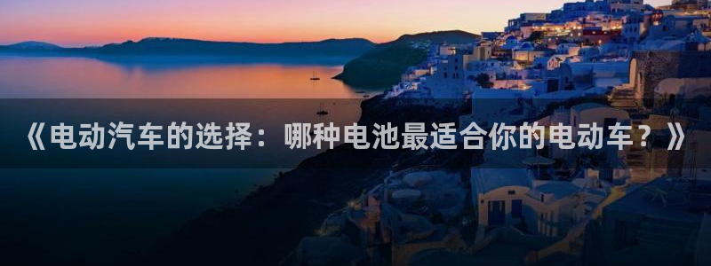 优发国际一触即发登陆：《电动汽车的选择：哪种电池最适合你的电动车？》
