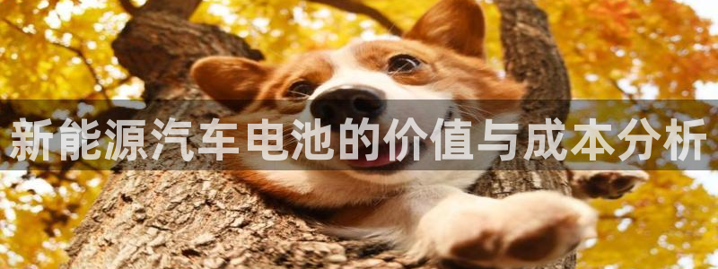 优发国际平台g8怎么样