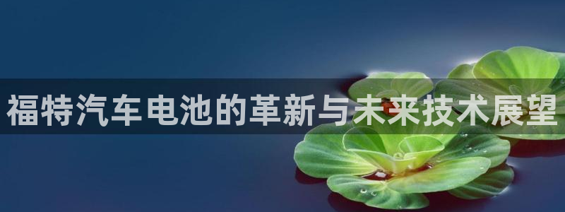 优发国际手机客户端官网下载：福特汽车电池的革新与未来技术展望