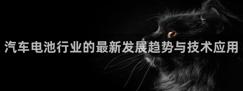 优发国际游戏网站：汽车电池行业的最新发展趋势与技术应用