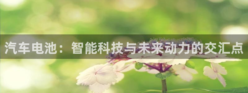 优发国际下载安装