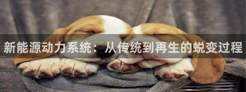 优发国际官网,首页网址：新能源动力系统：从传统到再生的蜕变过程