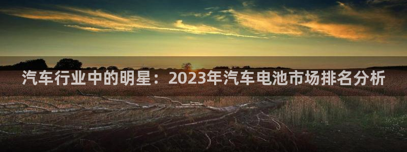 优发国际免费游戏下载：汽车行业中的明星：2023年汽车电池市场排名分析