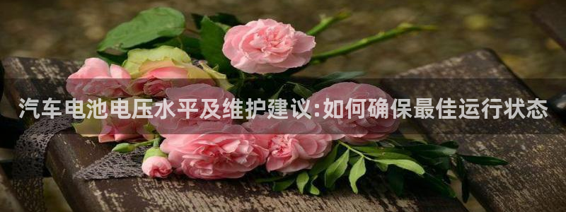 优发国际登陆u：汽车电池电压水平及维护建议:如何确保最佳运行状态