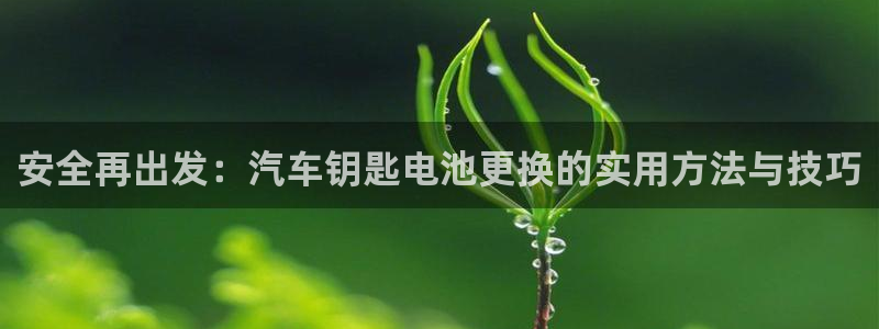 优发国际亚洲平台：安全再出发：汽车钥匙电池更换的实用方法与技巧