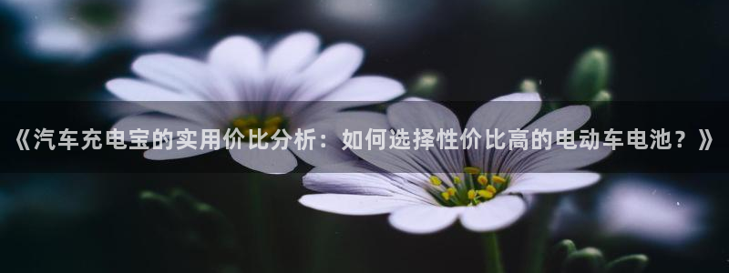 优发国际是大平台吗：《汽车充电宝的实用价比分析：如何选择性价比高的电动车电池？》