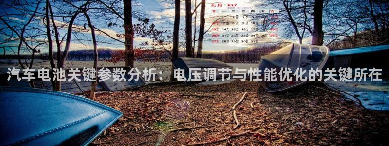 优发国际官网是多少：汽车电池关键参数分析：电压调节与性能优化的关键所在
