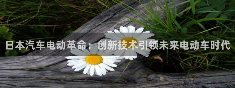 优发国际合并到哪里了