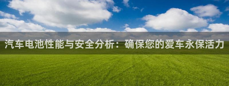 优发国际游戏官网：汽车电池性能与安全分析：确保您的爱车永保活力