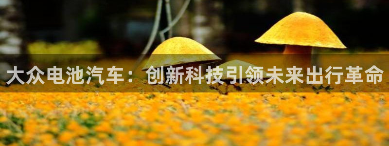 优发国际首页首页登录：大众电池汽车：创新科技引领未来出行革命