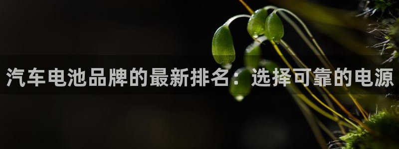 优发国际集团股份有限公司：汽车电池品牌的最新排名：选择可靠的电源