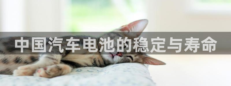 优发国际登录k8：中国汽车电池的稳定与寿命
