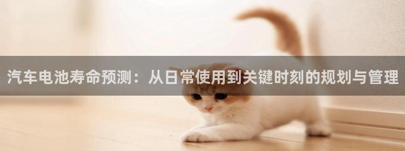 优发国际安卓版下载安装最新版：汽车电池寿命预测：从日常使用到关键时刻的规划与管理