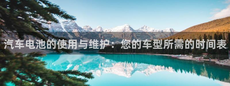优发国际是大平台吗还是小平：汽车电池的使