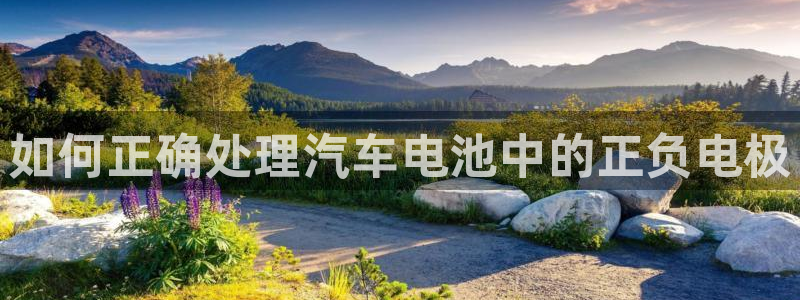 优发国际游戏17岁能玩吗：如何正确处理汽