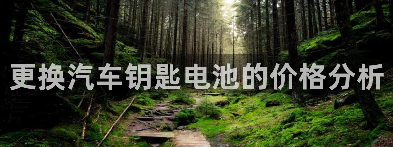 优发国际手机app下载地址：更换汽车钥匙电池的价格分析