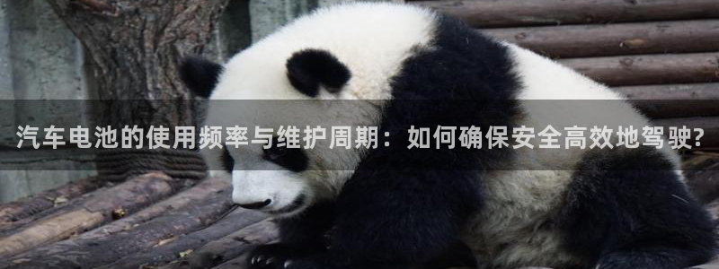 优发国际官方网平台：汽车电池的使用频率与维护周期：如何确保安全高效地驾驶?